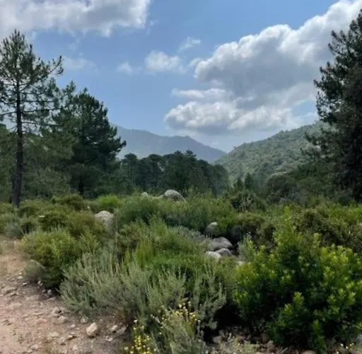 à Cala Rossa Appartement Lecci